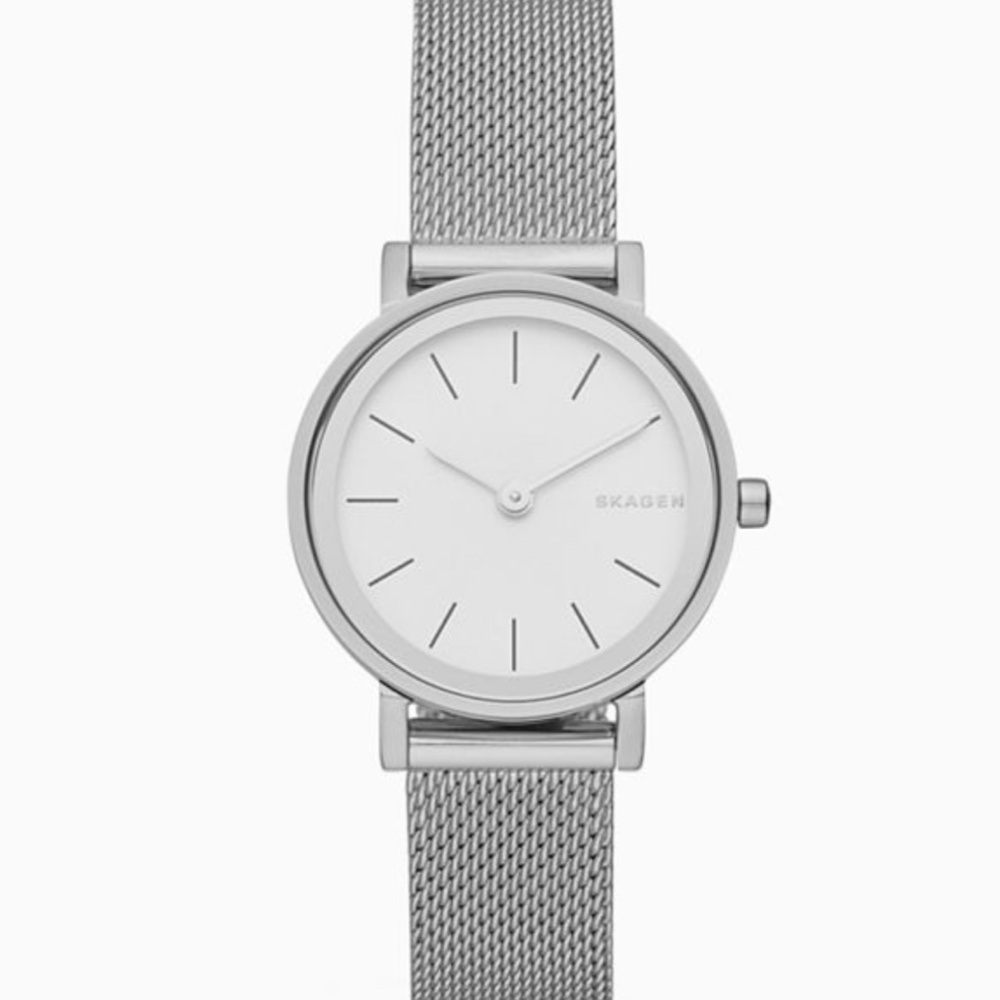 Skagen Hald Steel-Mesh Watch